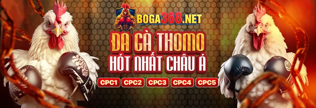 Đá gà trực tuyến CPC188 với những trận đấu kịch tính